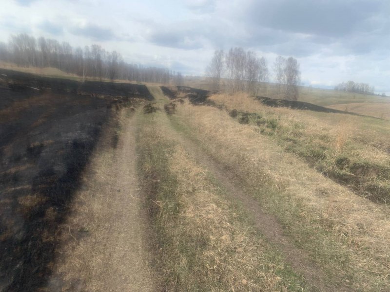 «Решил посмотреть, как горит сухая трава»: сотрудники ОМВД России по Иланскому району установили факт поджога травы малолетним ребенком